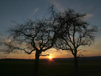impression_altenmuenster_03.jpg