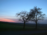 impression_b-altenmuenster.jpg