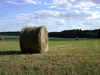 impression_heuballen.jpg