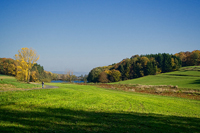 impression_see_04.jpg