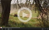 Videoclip
