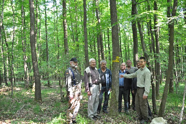wald_uechtel01_web
