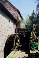 Active Image