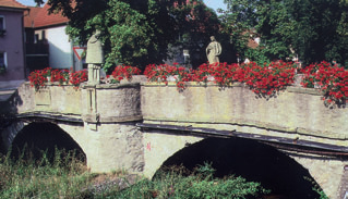 Active Image