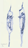 Active Image