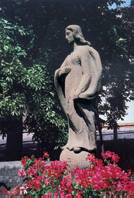 Active Image