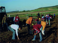 kartoffelfreunde Active Image