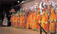 helau1 Active Image