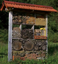 kinderobstwiese Active Image