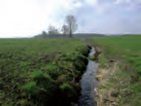 bach_vorher Active Image